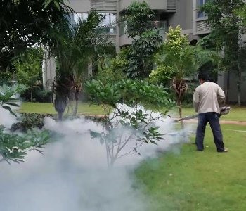四害消杀服务案例